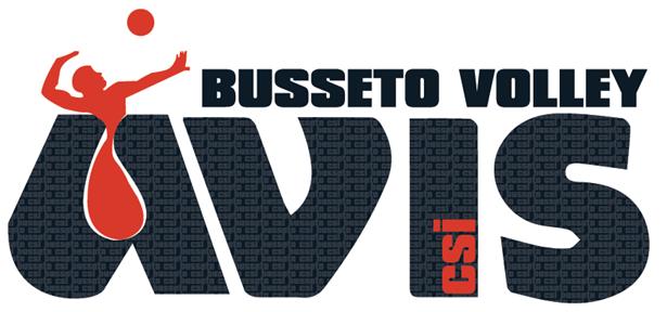 Bussetovolley