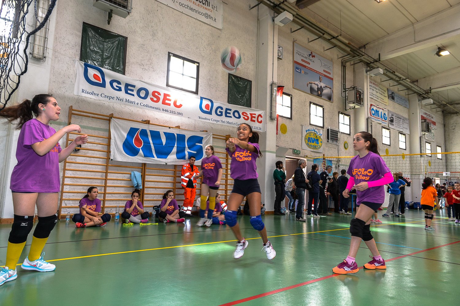 12946931 826544107450242 2015979722 o